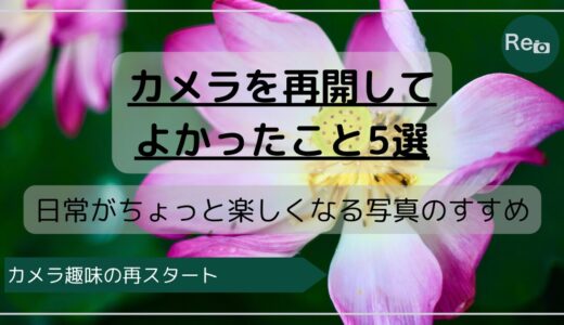 カメラを再開してよかったこと5選｜日常がちょっと楽しくなる写真のすすめ