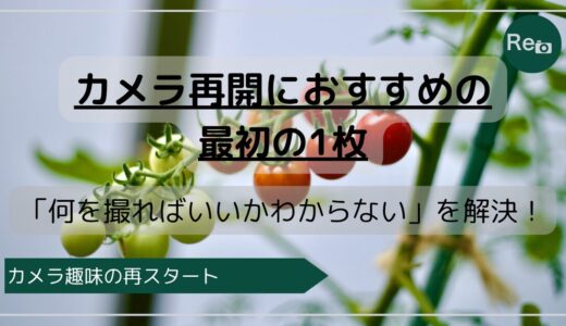 カメラ再開におすすめの最初の1枚｜続けたくなるシンプルな始め方