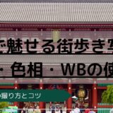 東京街歩きスナップで色の雰囲気を楽しむ浅草の街並み